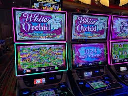 warga togel featured game showcase warga togel featured game showcase